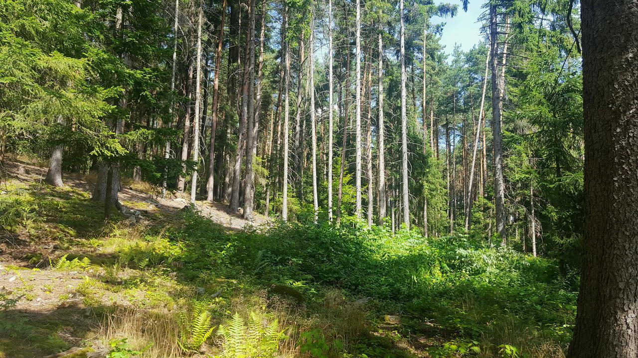 Malebna Chalupa U Javorniku Na Sumave Vacov Exterior foto